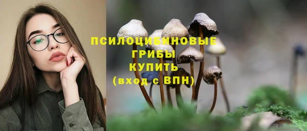 мяу мяу мука Абдулино