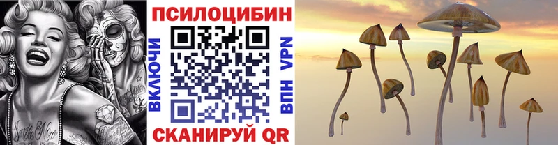 Галлюциногенные грибы MAGIC MUSHROOMS  как найти закладки  Юрюзань 
